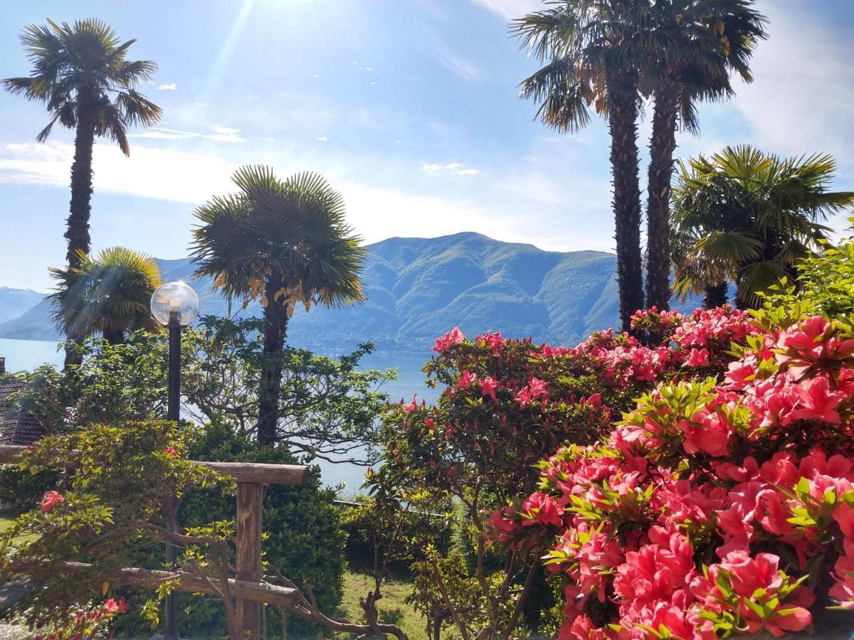 Garden Hotel Primavera Brissago Exterior foto