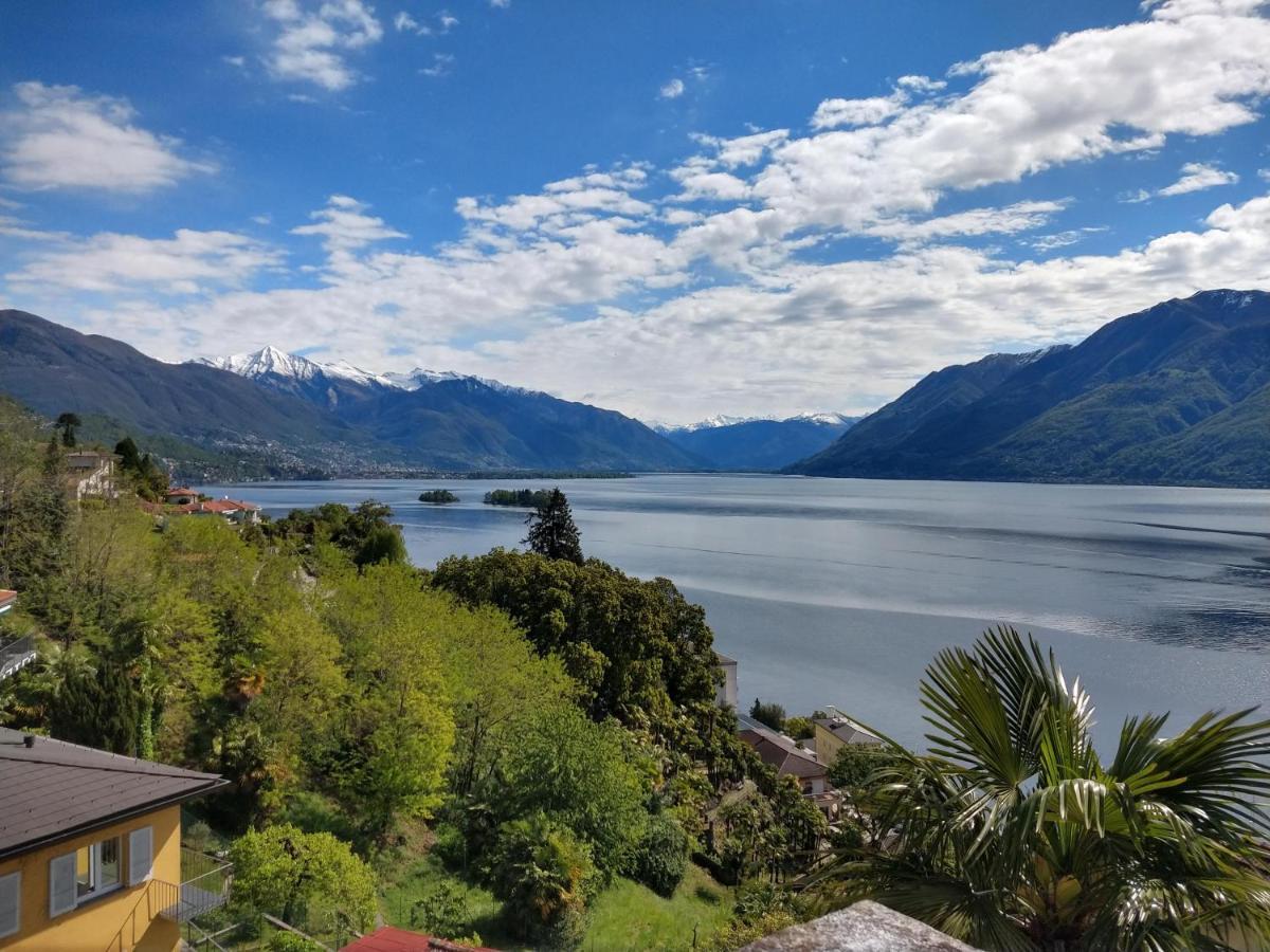 Garden Hotel Primavera Brissago Exterior foto